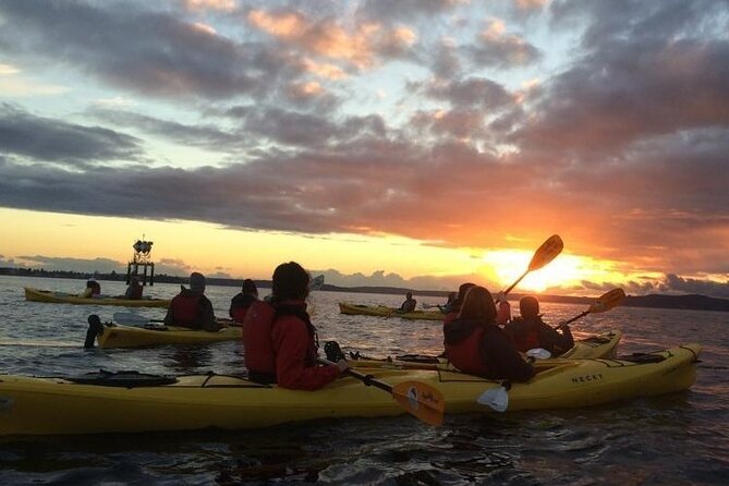 West Seattle Sunset Sea Kayak Tour Review - Tour Overview