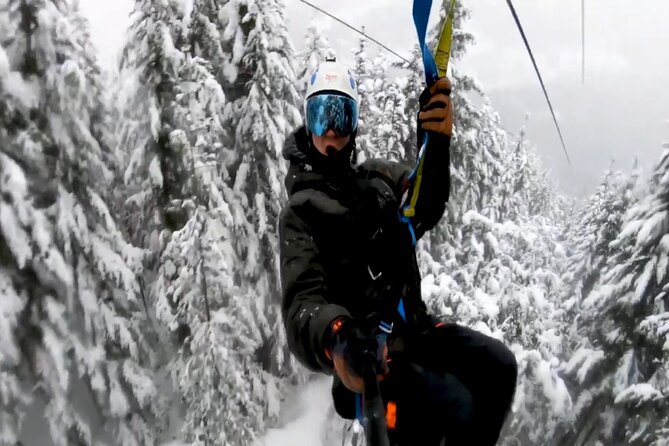 Whitetail Mountain One Day Skiing Tour From Washington D.C - Key Points