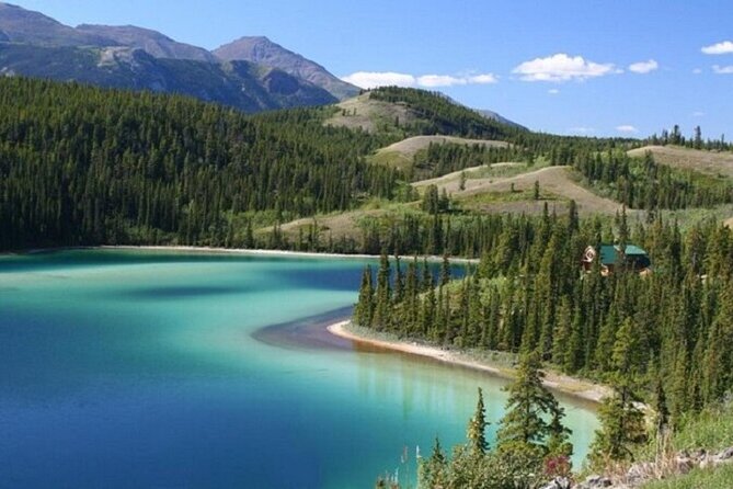 Wild Adventure Yukon Tour Into Canada Including City and Summit - Good To Know
