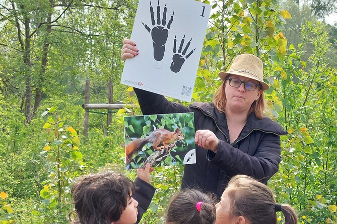 Wild Animal Treasure Hunt - Key Points