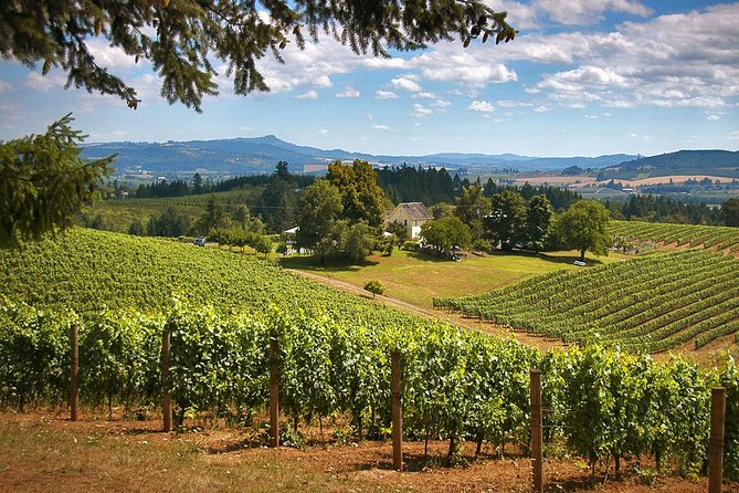 Willamette Valley Wine Tasting Tour From Portland - Good To Know