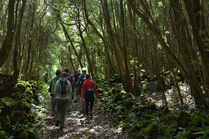 Wine and Vineyards Hike - Key Points