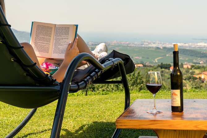 Wine Fountain Tasting Day Tour From Portoroz - Key Points