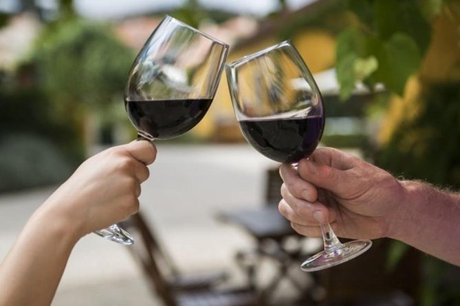 Wine Tasting - Private Half-Day Tour - Included Amenities