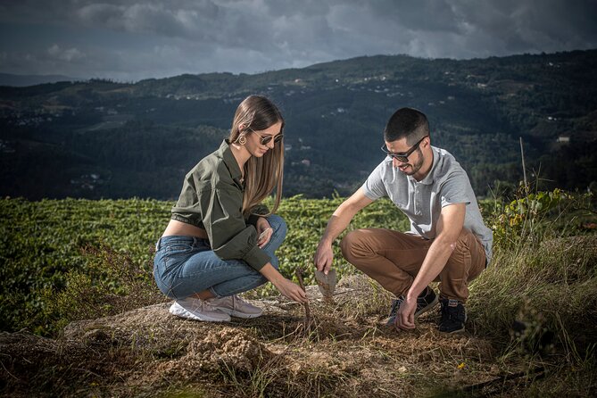 Wine & Vine Planting | Quinta De Santa Cristina Vinho Verde - Key Points