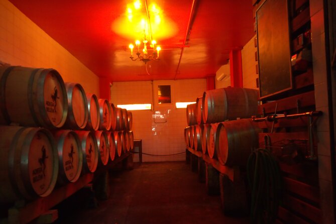 Winemaker-Owner Led Tour, Tasting & Tapas @ Adega Belém Winery - Key Points