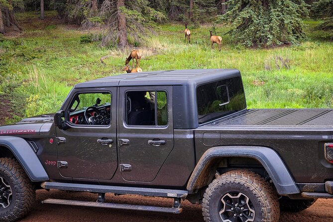 Woodland Park: 4-Hour Self-Guided Jeep Rocky Mountain Scenic Tour - Key Points
