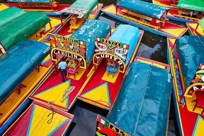 Xochimilco, Coyoacan and Frida Kahlo Museum Tour - Key Points