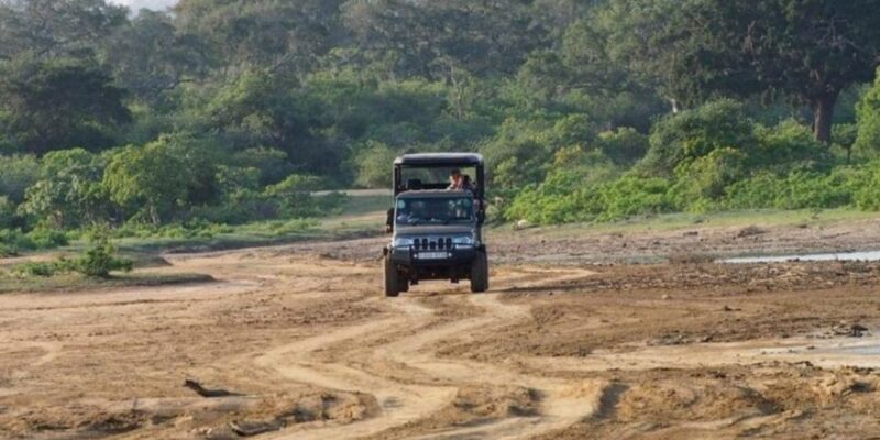 Yala: All-Inclusive Off-Road Adventure From Hambantota - Good To Know