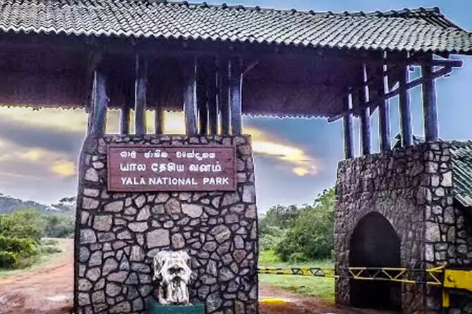 Yala National Park Private Jeep Safari From Colombo & Negombo - Key Points