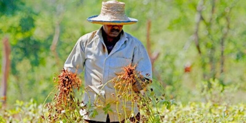 Yala: Village Life Exploration Tour! - Good To Know