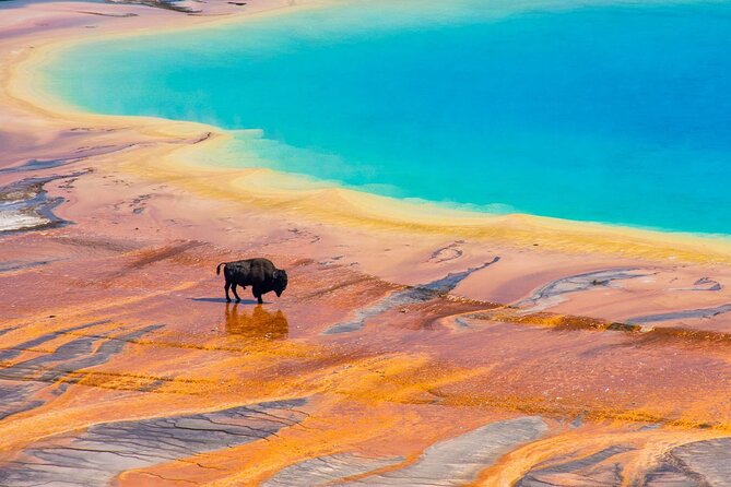 Yellowstone and Grand Teton 5 Day Tour Review - Tour Highlights and Inclusions