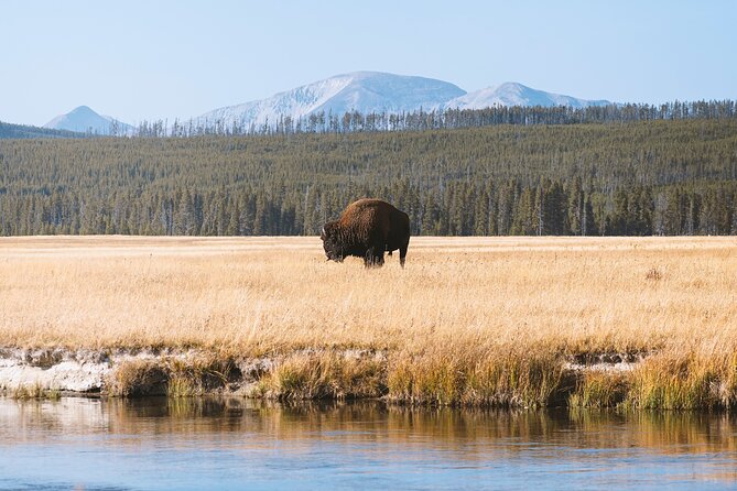 Yellowstone Full Day Small Group Tour Review - Tour Overview and Inclusions