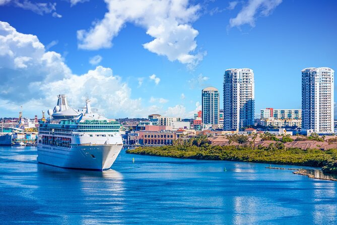 Yokohama Port: Private Transfer From/To Narita Airport - Good To Know