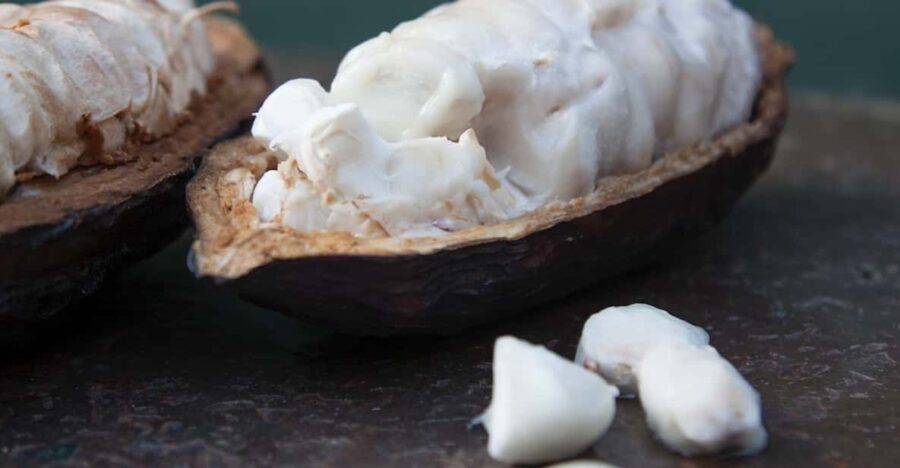 Zaandijk: Chocolate Making Demonstration & Tasting - Activity Overview