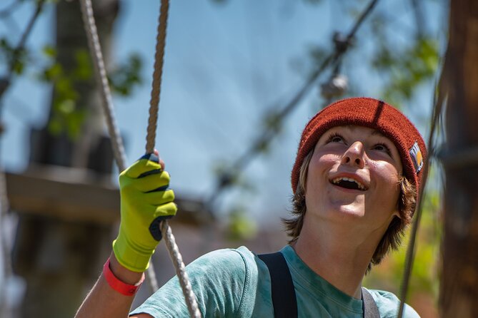 Zipline and Climb in a Forest Review - Overview of the Experience