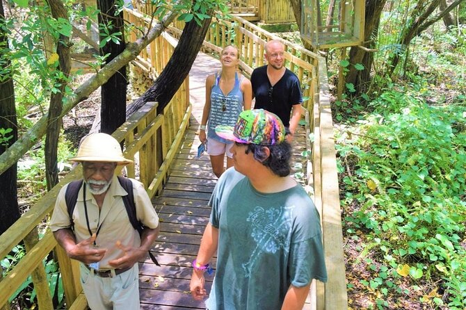 Zipline, Atv, and Safari From Montego (Combo Deal) - Key Points