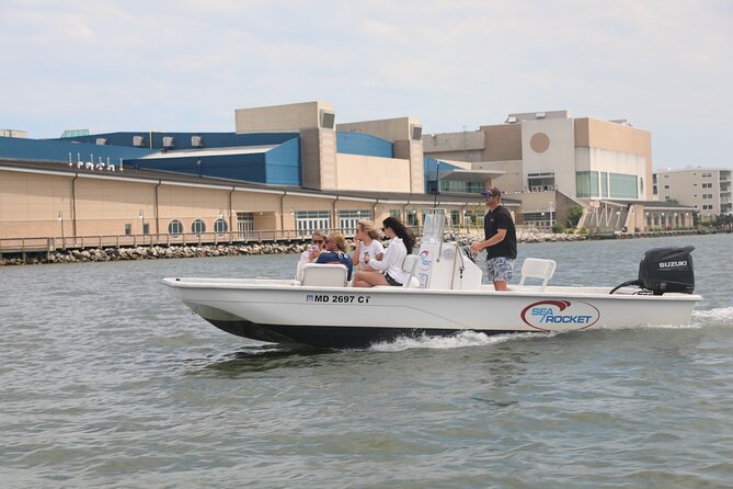 1-Hour Private Party Assateague Island Cruise in Ocean City, MD - Good To Know