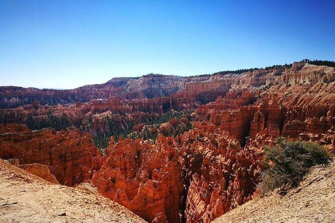 1-Day Zion National Park and Bryce Canyon National Park Tour