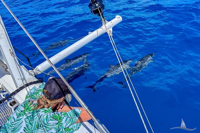 2hr Luxury Private Sailing Catamaran for 7-12 People