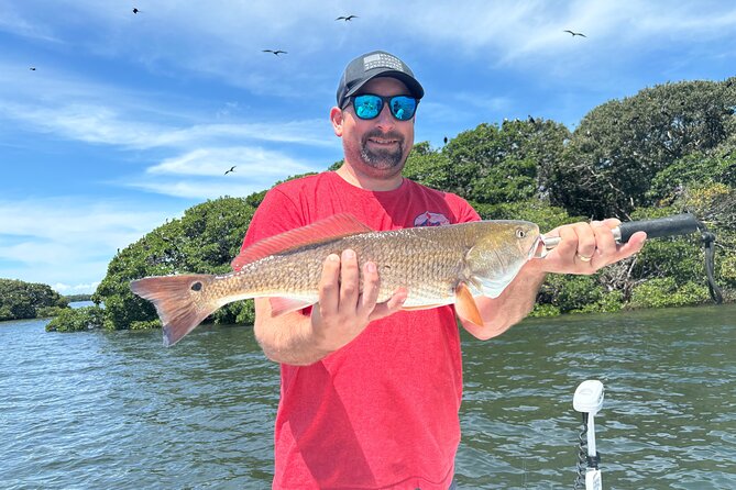 4 Hour Inshore Tampa Bay Fishing Trip