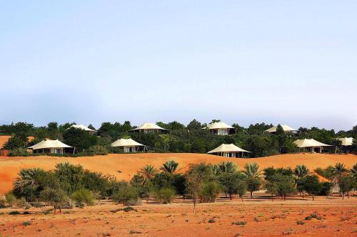 Al Maha, a Luxury Collection Desert Resort & Spa, Dubai Review