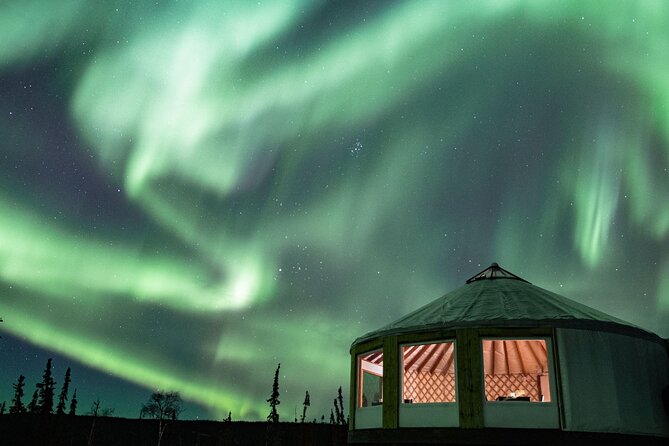 Aurora Viewing and Dinner