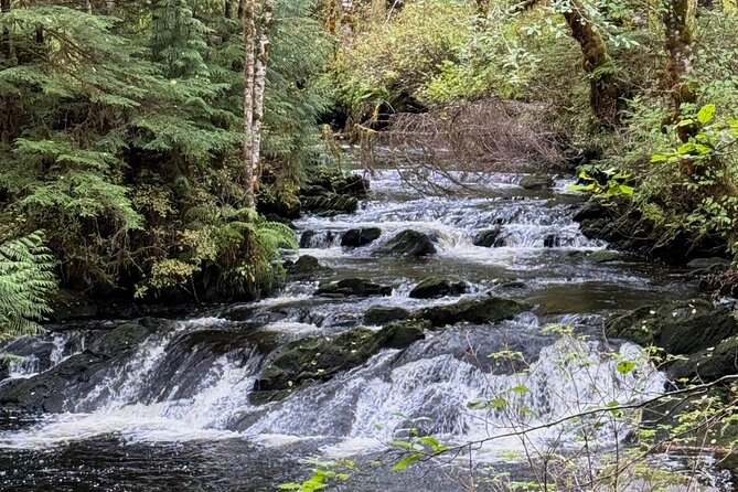 Beautiful Hike on Tongass National Forests Lunch Creek Trail