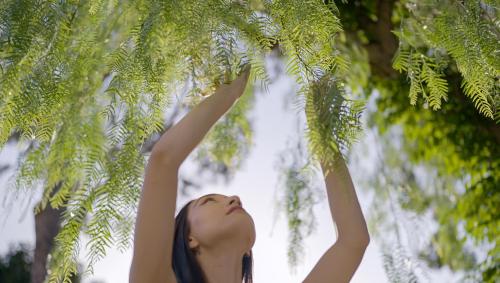 Botania Relais & Spa - The Leading Hotels of the World - Overview and Location