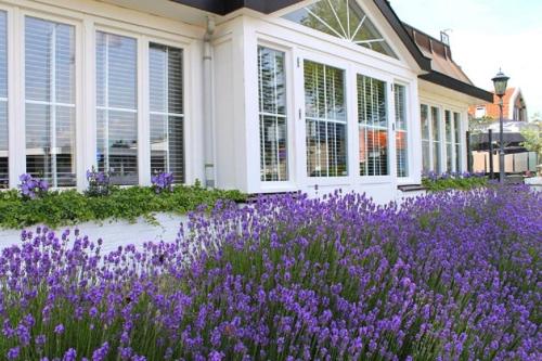 Boutique Hotel Herbergh Amsterdam Airport FREE PARKING - Hotel Overview and Location