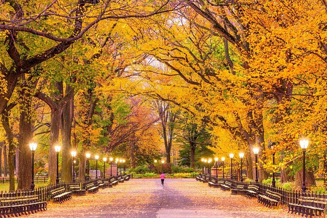Central Park Scavenger Hunt and Highlights Self-Guided Tour