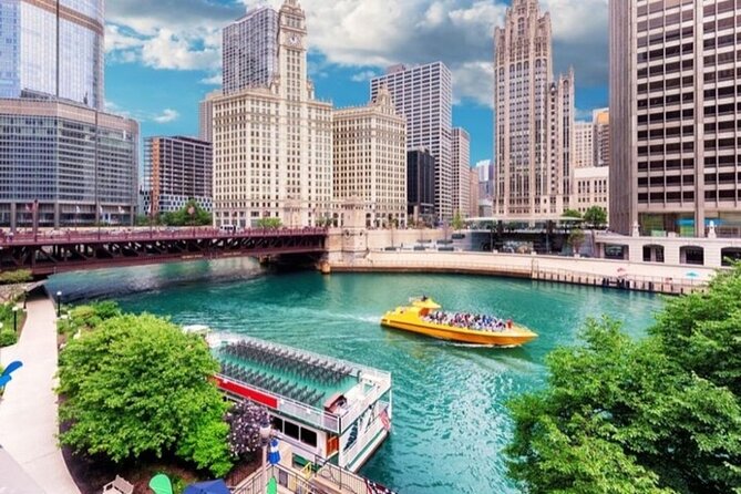 Chicago Highlights Private Walking Tour With a Guide