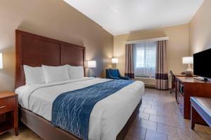 Comfort Inn & Suites Ukiah Mendocino County - Room Types and Accommodations