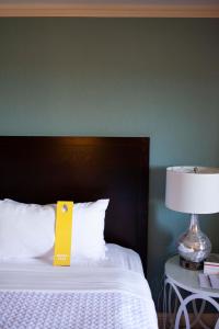 Crowne Plaza Cabana Hotel, an IHG Hotel - Hotel Overview and Location