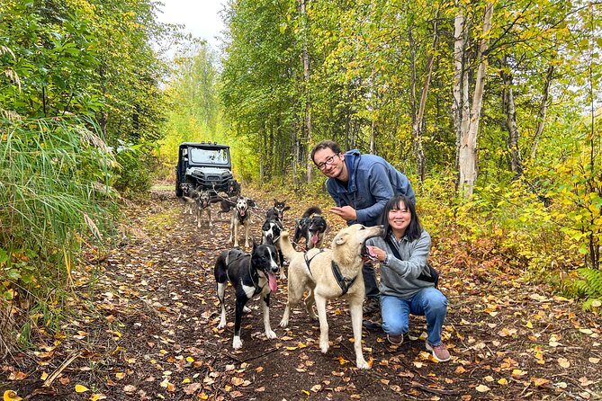 Dryland Dog Sled Tour - Meeting and Pickup Details