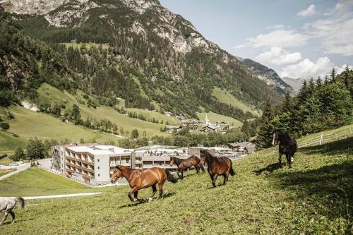 Feuerstein Nature Family Resort - Hotel Overview and Location