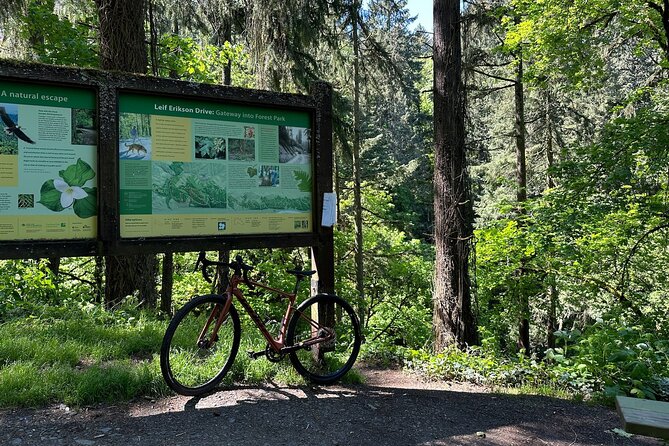Forest Park Carbon Gravel Bike and E-Bike Tour - Tour Overview