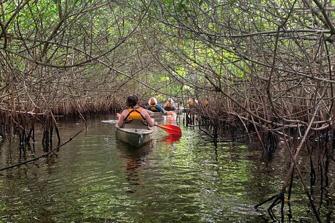 Full Day Everglades Combo Motorboat Eco and Kayak Tour - Inclusions