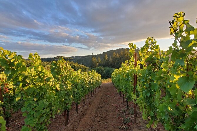 Heart of Willamette Winery Pass : Wine Tastings and Discounts