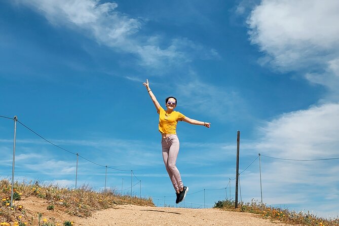 Hollywood Sign Hike - Epic Views of Los Angeles and Film Studios - Scenic Hike Through Los Angeles