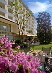 Hotel Bristol Buja - Hotel Overview