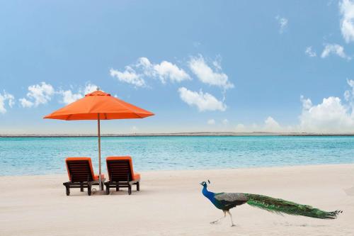 JA The Resort - JA Beach Hotel, Dubai - About the Resort