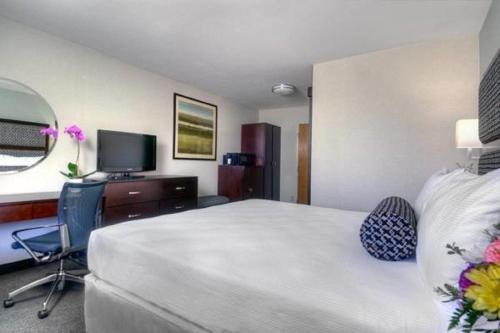 Maple Tree Inn - Hotel Overview