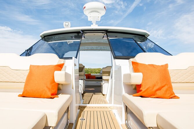 Marine Wildlife & Whale Watching Tour in The Hamptons