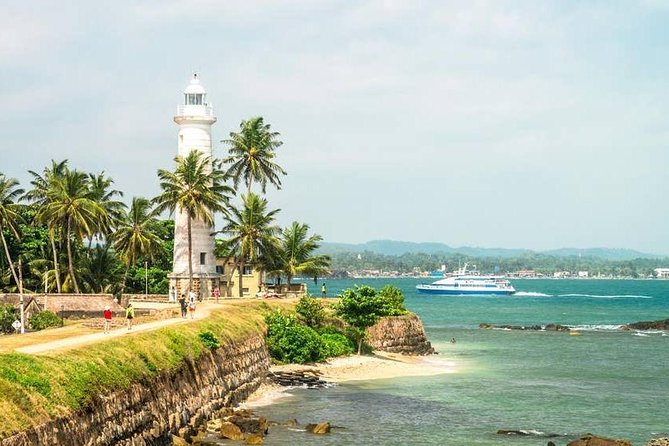 Mirissa Whale Watching, Stilt Fishing & Turtle Tour From Colombo