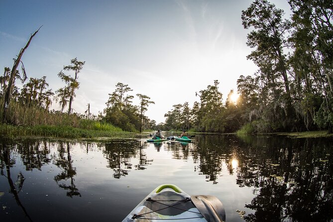 New Orleans Bayou Adventure: Kayak Rental