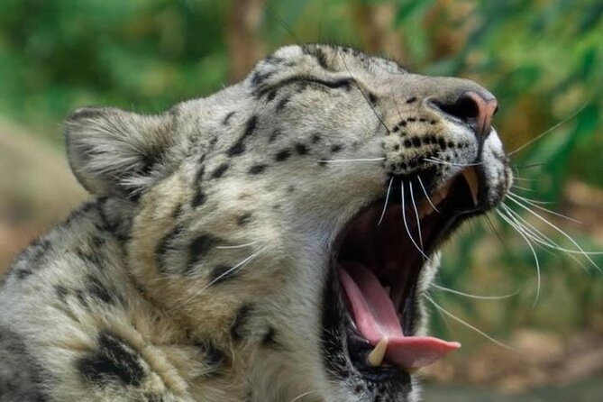 New York Central Park Zoo Ticket - Ticket Pricing and Options