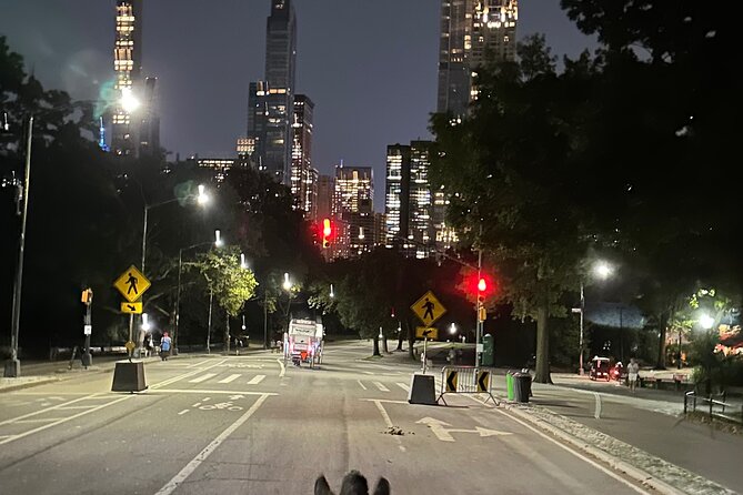 NYC Empire State Horses Carriage Ride in Central Park(55 Min)