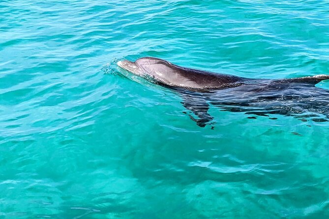 Premium Non-Private 3 Hour Crab Island and Eco Tour With Bathroom