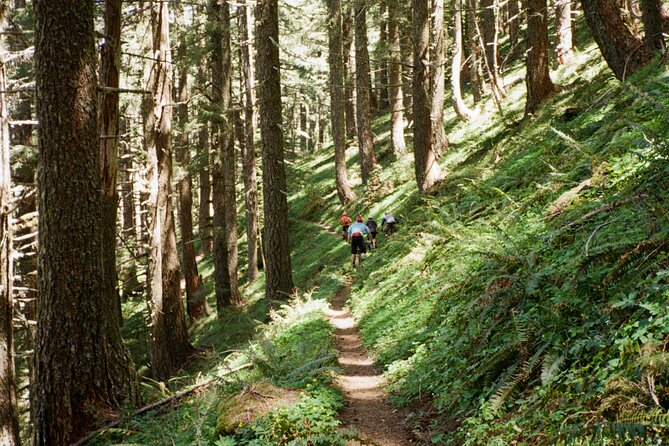 Private Adventure Mountain Biking in Seattles Eastside